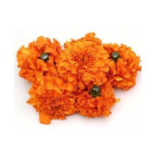 Marigold Orange Flower