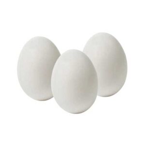 Regular Eggs Anda