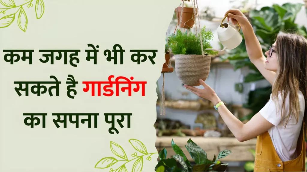 There is less space in the house want to do gardening fulfill your gardening dream in these ways